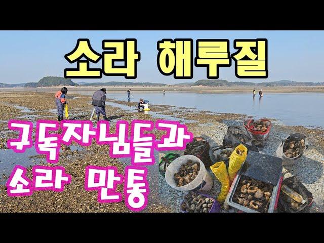 누구나 소라 만통하는 시즌시작 구독자님들과 동출 #해루질