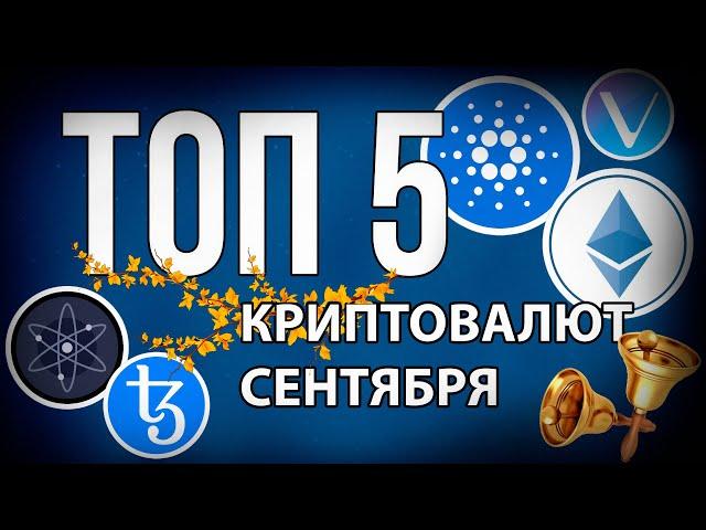 ТОП-5 криптовалют на сентябрь 2021 | SKD #ffd700