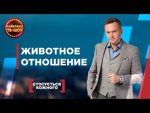 ЖИВОТНОЕ ОТНОШЕНИЕ | САМЫЕ ПОПУЛЯРНЫЕ ВЫПУСКИ КАСАЕТСЯ КАЖДОГО | ЛУЧШИЕ ТВ-ШОУ