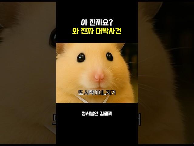 아진짜요? 그러쿠나 대박이다