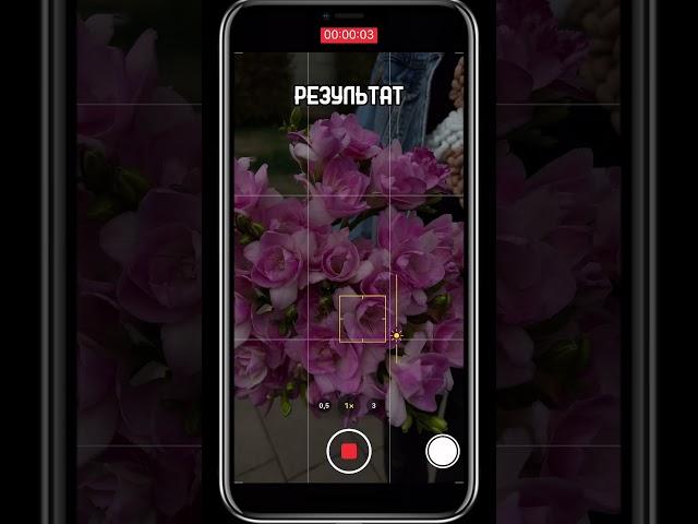 Красиво снимаем цветы  #цветы #флорист #букетцветов #флористика #flower #эстетика #съемка