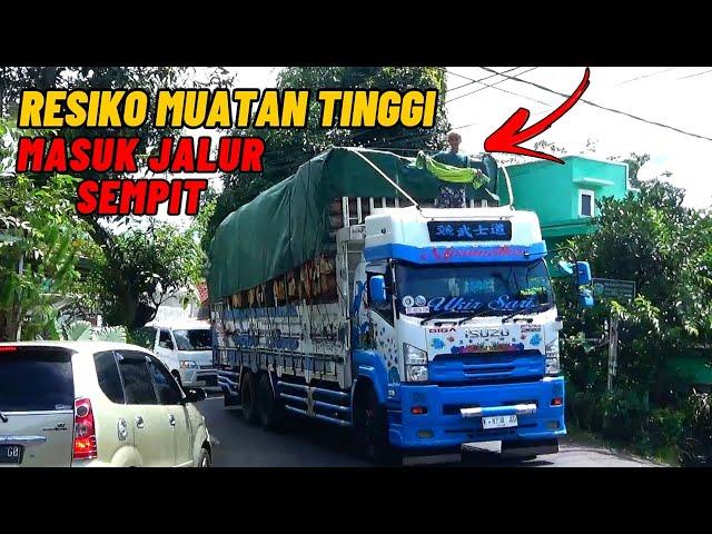 Resiko muatan tinggi masuk jalan sempit || Perjuangan sopir truk