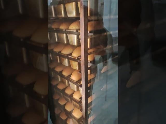 Revent 725 Baking bread Rack oven Revent 725 GAS #eduardoagroid #miwe #revent 725 Single Rack Oven