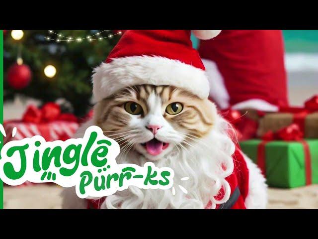  Festive Fun for All Pets at Petzone! 