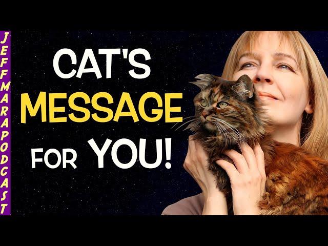 The SECRET SOUL MISSION Of Cats Is Revealed & More