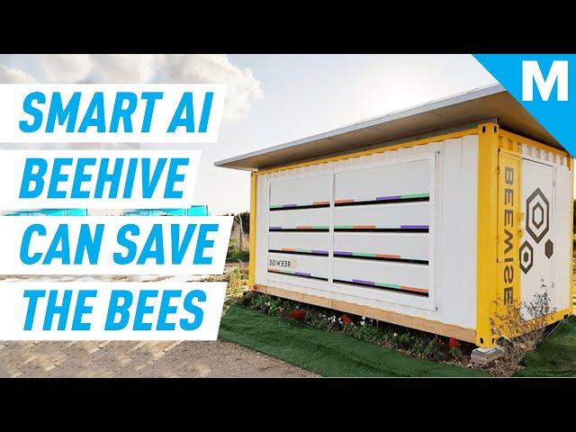 This Smart Beehive Uses AI To Save The Bees | Future Blink