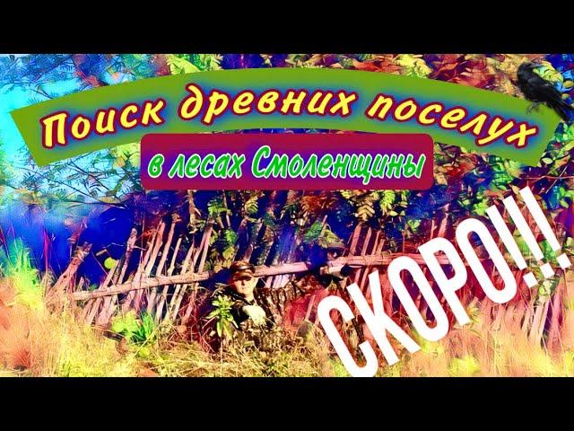 Скоро, смотреть всем! Лесной коп по старине, в Смоленской обл. Поиск древних хуторов, в глуши леса.