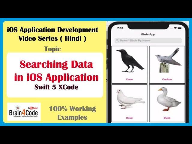 How to Implement Search Bar with Collection View in Swift 5 XCode | Hindi | Create iOS Application