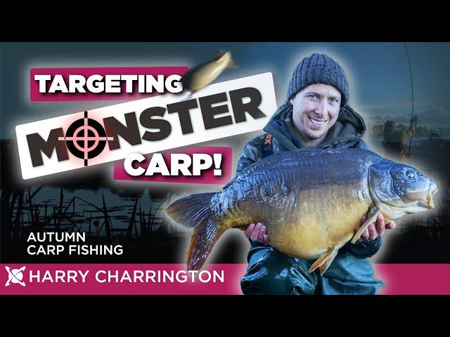 TARGETING HUGE UK CARP | AUTUMN CARP FISHING APPROACH | HARRY CHARRINGTON