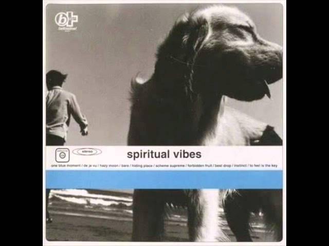 Spiritual Vibes - Scheme Supreme