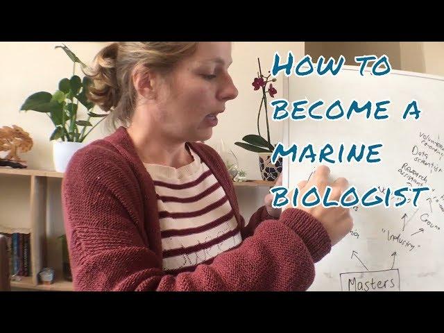 How to become a marine biologist