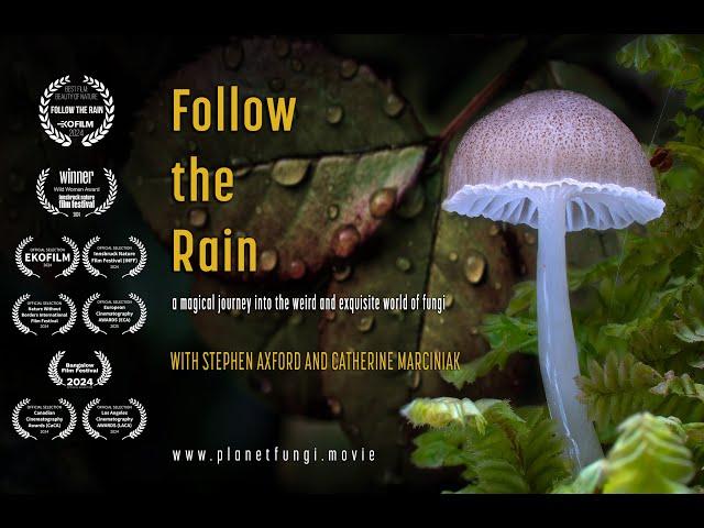 FOLLOW THE RAIN - OFFICIAL TRAILER