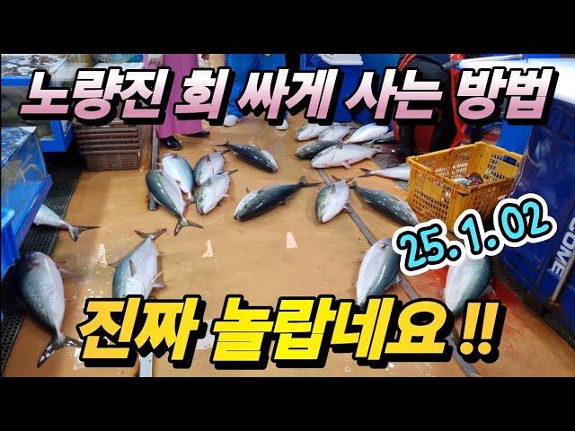 노량진 수산 어시장 방어 이거 다 어떡해? 난리 난상황! 1.02 최신 정보! 횡재 가격에 꼭 드세요! Korean fish market channel