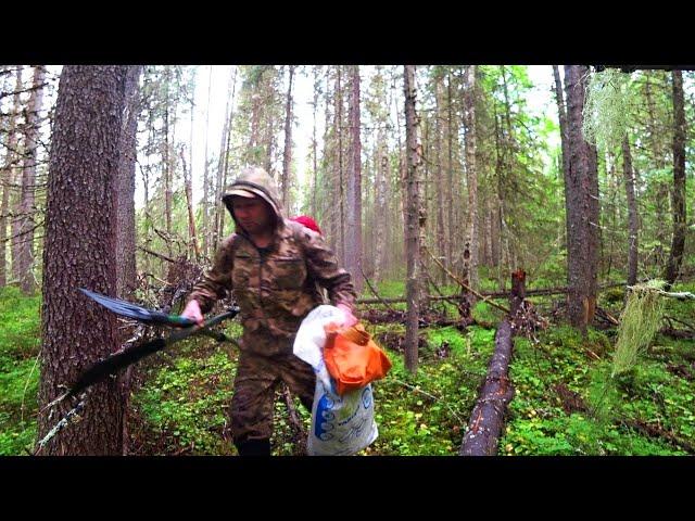 В ТАЁЖНУЮ ГЛУШЬ. СОБРАТЬСЯ с МЫСЛЯМИ и ОТДОХНУТЬ ДУШОЙ. Часть первая.