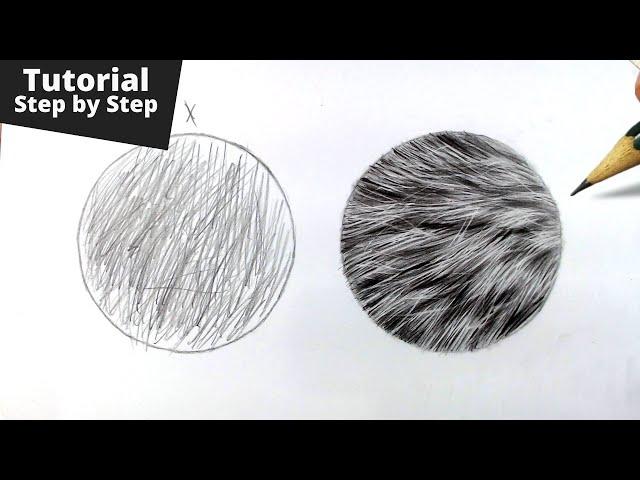 How to Draw Realistic Fur for Beginners