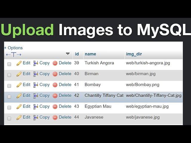 How to Insert Images to MySQL and Display Them Using PHP