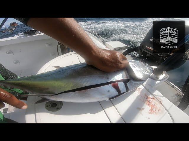 Montage avec le ventre d'une bonite pour pêcher à la traîne.