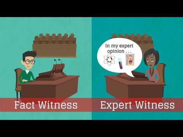 What is an expert witness?