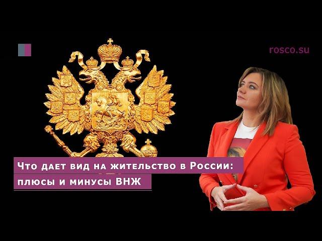 Что дает вид на жительство в России: плюсы и минусы ВНЖ