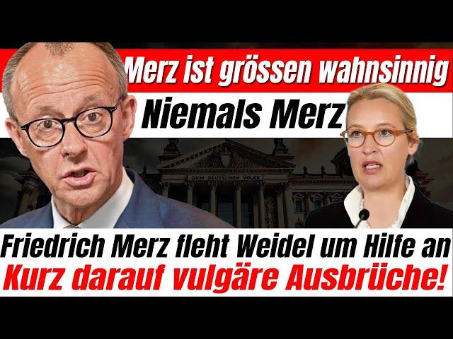  Alice Weidel lehnt Friedrich Merz ab – Kurz darauf vulgäre Ausbrüche!