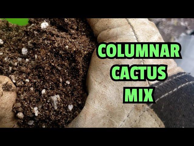 Columnar Cactus Mix for potted cacti