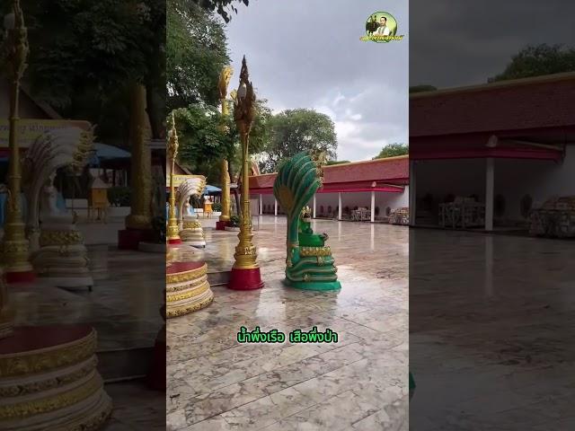 ผญา: เว้านัวหัวม่วน ep.2 #ผญาจารย์ครูพงษ์  #ผญาอีสาน #อิสาน #วัฒนธรรมพื้นบ้าน #อีสาน