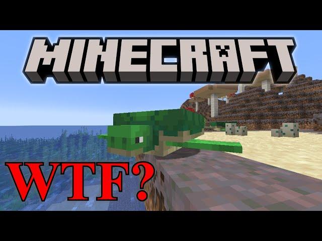 Minecraft's Weirdest Feature