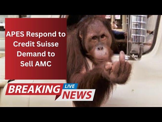 Here's WHY Credit Suissie Wants YOU to Sell AMC | An AMC Squeeze Update