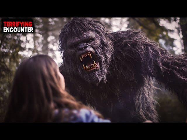 5 Terrifying Bigfoot Encounters That Will Leave You Speechless