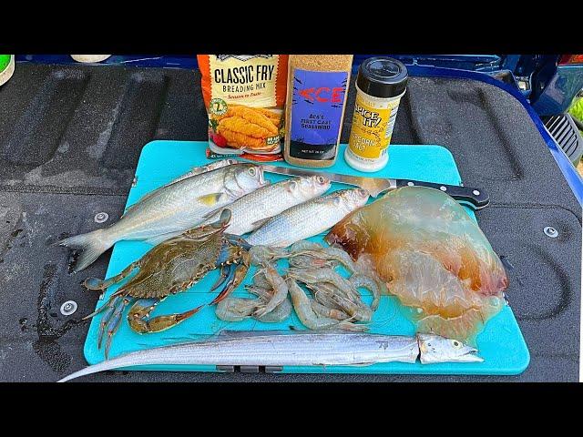 3 Days Eating Whatever We Catch - Jellyfish, Crab, Shrimp n' Fish