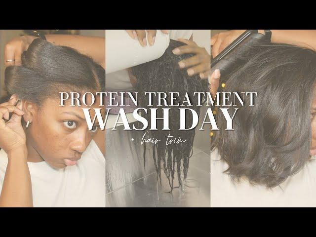 Protein Treatment Wash Day | Niara Alexis