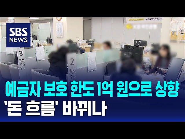 예금자 보호 한도 1억 원으로 상향…'돈 흐름' 바뀌나 / SBS