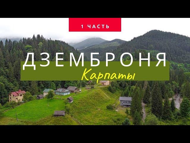 ДЗЕМБРОНЯ. КАК СЮДА ДОБРАТЬСЯ? ОТДЫХ В КАРПАТАХ ЛЕТОМ 2021