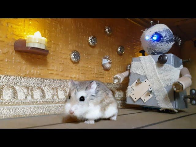 MAJOR HAMSTER vs ROBOT ZOMBIE - Desert TEMPLE TREASURE HUNT