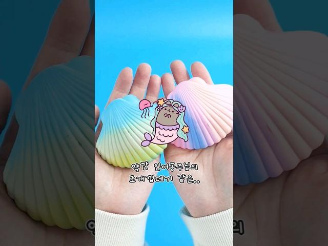 인어공주 조개껍데기 안에 숨겨져있는 보물‍️