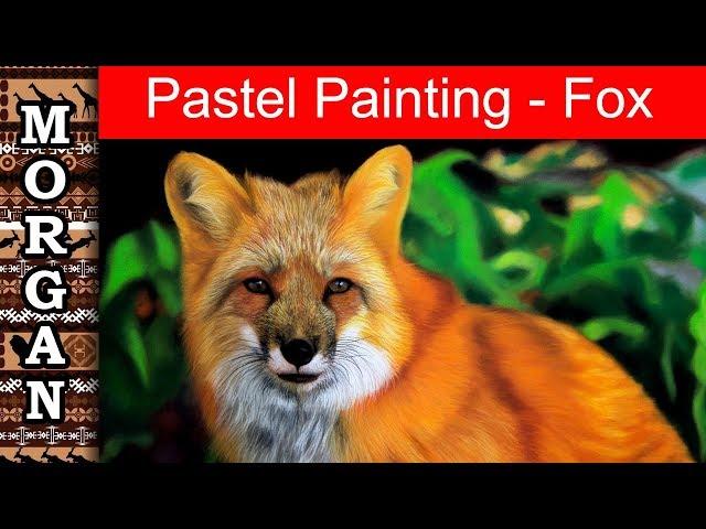 Pastel Pencil drawing - Fox - Jason Morgan wildlife art