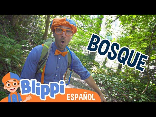 Paseo en el bosque con Blippi | Blippi Español | Videos educativos para niños | Aprende y Juega