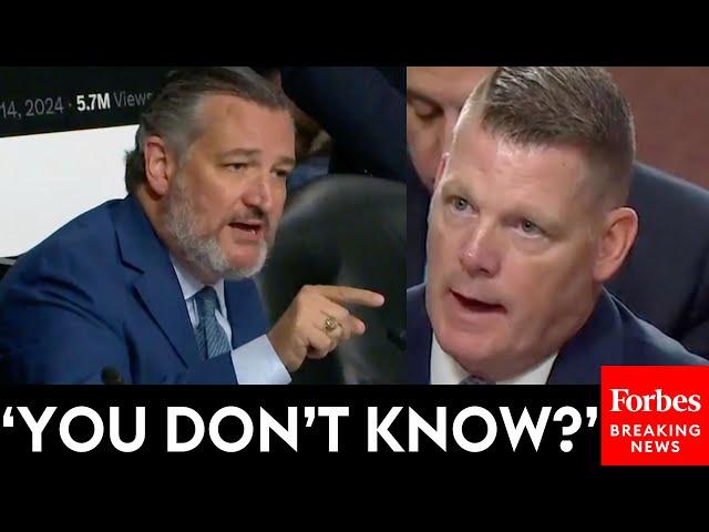 BRUTAL: Ted Cruz Has Epic Clash With Acting Secret Service Director Over Trump And RFK Jr.