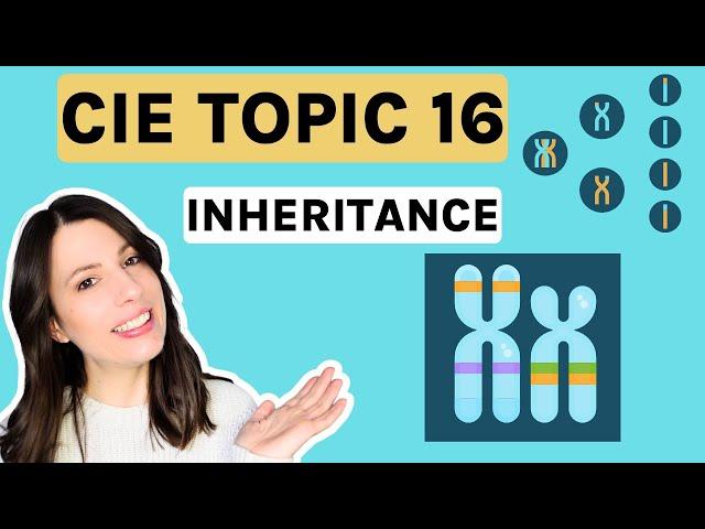 Inheritance & Meiosis | Topic 16 ENTIRE topic for CIE A-level