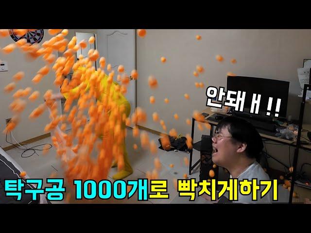 탁구공 1000개로 하루종일 형 빡치게하기ㅋㅋㅋ