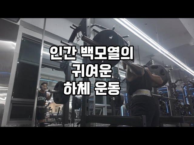 인간 백모열의 귀여운 하체 운동