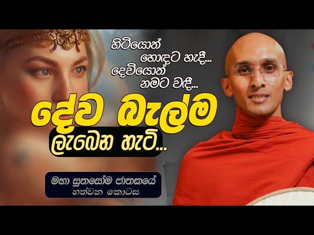 338. දේව බැල්ම ලැබෙන හැටි... | මහා සුතසෝම ජාතකය 7 | 2024-05-06