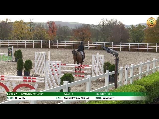 Goresbridge Go for Gold Sale 2022: Lot 1-27 - Showjumping