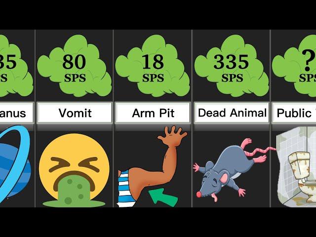 Comparison: Smelliest Things | DataRush 24