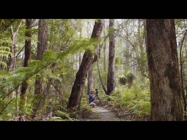 Outside Beyond the Lens - Australia