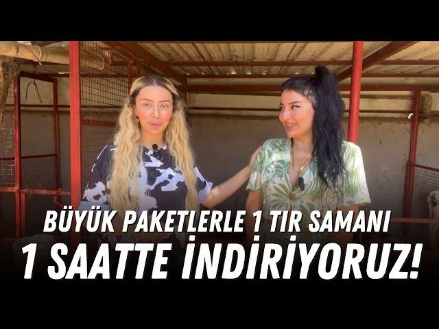 Büyük Paketlerle 1 Saat 1 Tır Samanı İndiriyoruz! / Buzağıları Küpeliyoruz