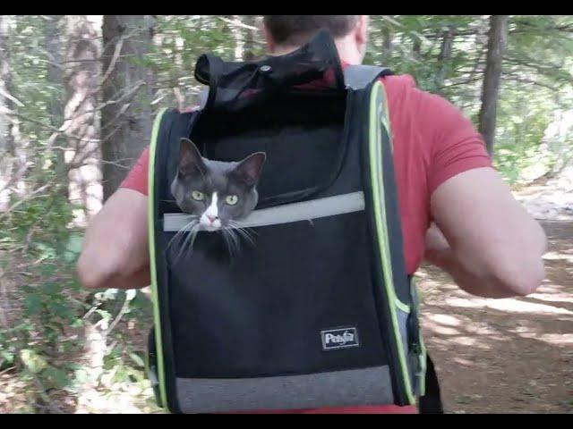 Cat's First Backpack Adventure | What Happened