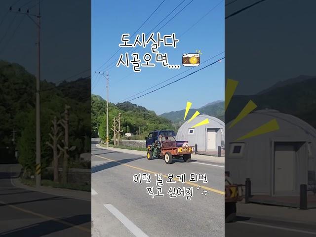 그냥 보면 자꾸 찍고 싶어요 #지리산 #귀촌 #시골 #시골살이 #시골생활 #귀촌생활 #지리산귀촌청년 #vlog #브이로그 #이게행복이지 #Thisishappiness #아보하