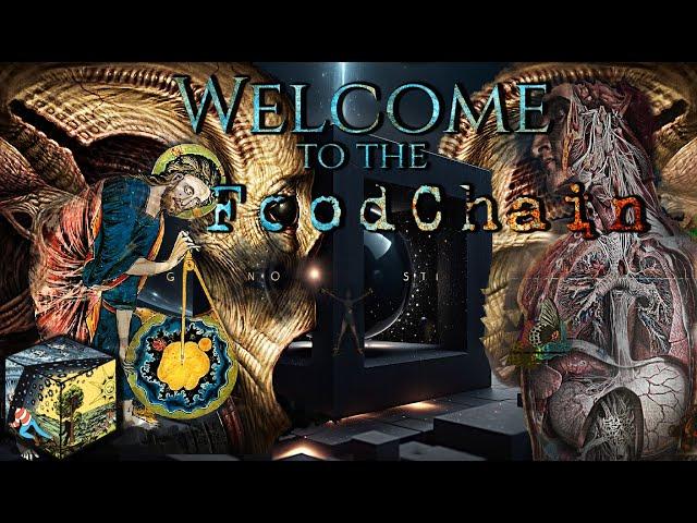 Gnostic Lore pt.ii:Welcome to the Foodchain-Apocrypha of John/Parallel Mythologies/Archons/Fear