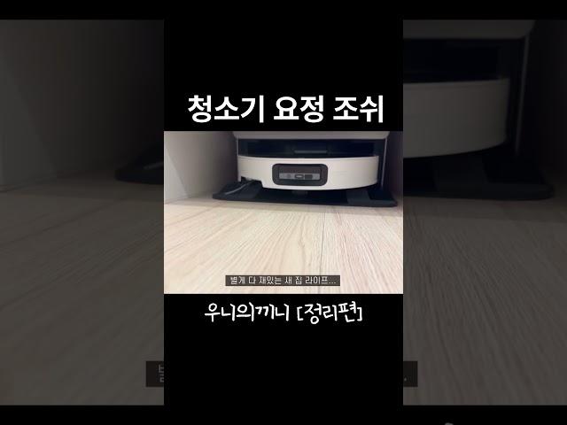 꺼내줘